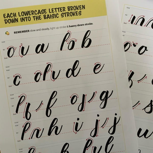 Beginner to Competent Calligrapher Course with Lemon Yellow Lettering