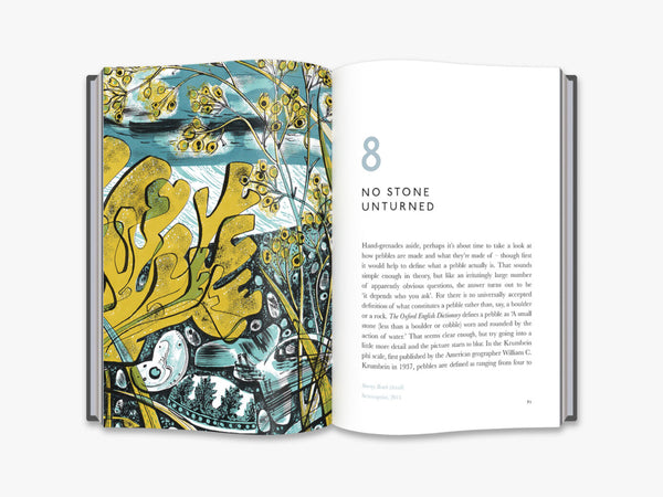 The Book of Pebbles by Christopher Stocks, Angie Lewin