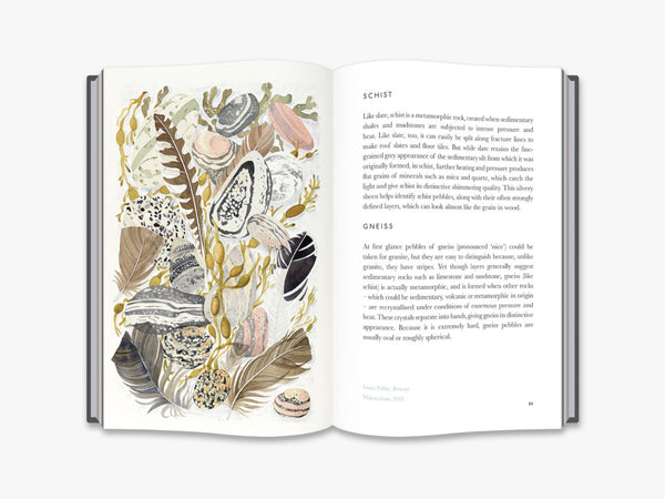 The Book of Pebbles by Christopher Stocks, Angie Lewin